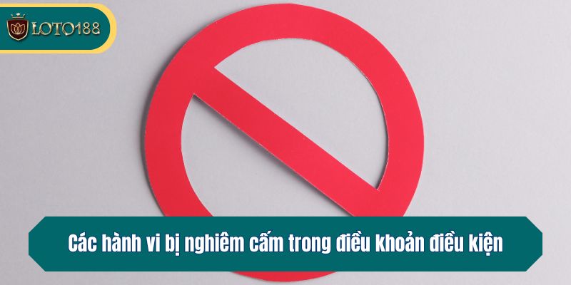 Các hành vi bị nghiêm cấm trong điều khoản điều kiện