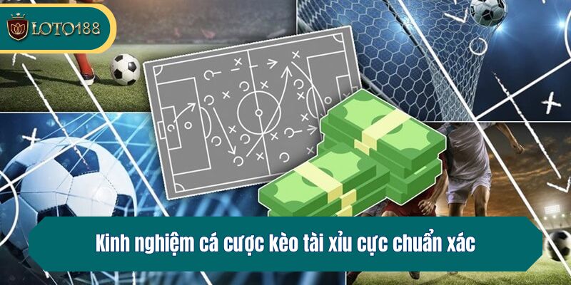 Kinh nghiệm cá cược kèo tài xỉu cực chuẩn xác