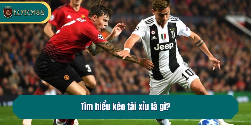 Tìm hiểu kèo tài xỉu là gì?